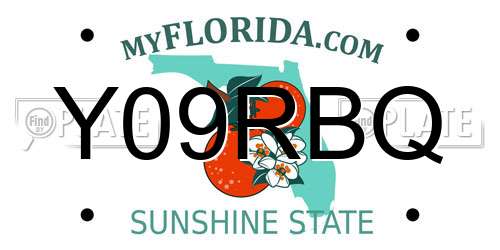 Y09RBQ Florida License Plate