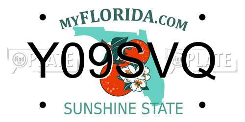 Y09SVQ Florida License Plate