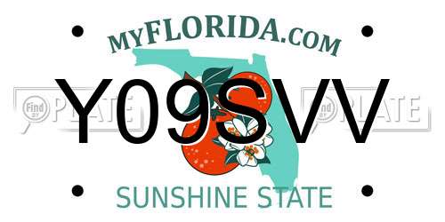 Y09SVV Florida License Plate