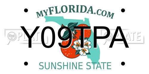 Y09TPA Florida License Plate