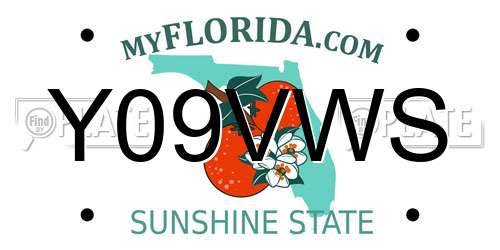 Y09VWS Florida License Plate