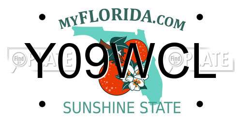 Y09WCL Florida License Plate