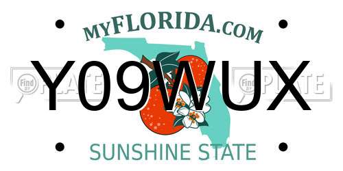 Y09WUX Florida License Plate