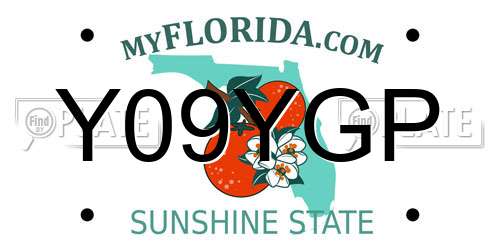 Y09YGP Florida License Plate