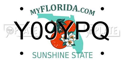 Y09YPQ Florida License Plate
