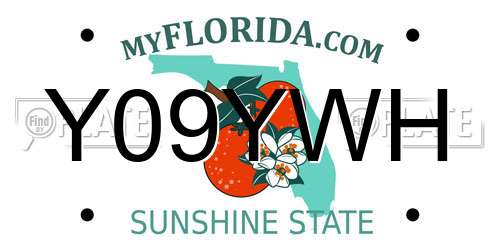 Y09YWH Florida License Plate