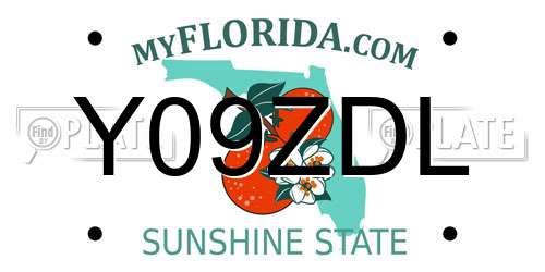 Y09ZDL Florida License Plate