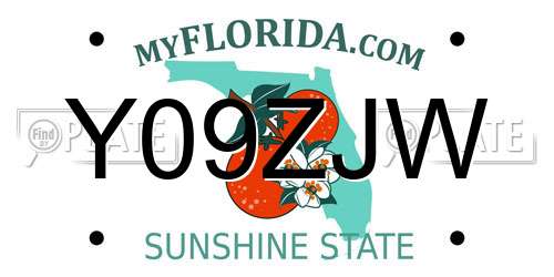 Y09ZJW Florida License Plate