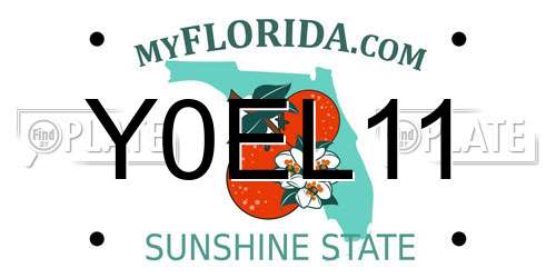 Y0EL11 Florida License Plate