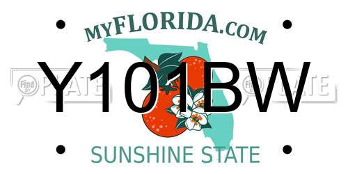 Y101BW Florida License Plate