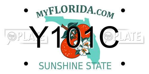 Y101C Florida License Plate