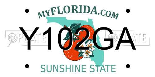 Y102GA Florida License Plate