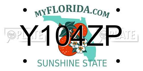 Y104ZP Florida License Plate