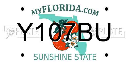 Y107BU Florida License Plate