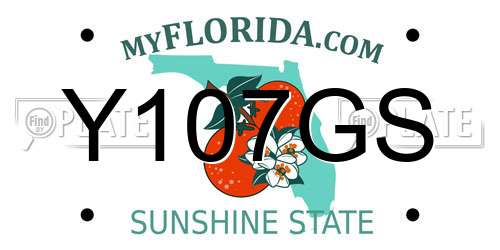 Y107GS Florida License Plate