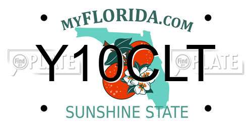Y10CLT Florida License Plate