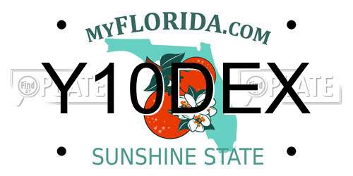 Y10DEX Florida License Plate