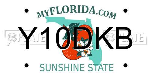 Y10DKB Florida License Plate