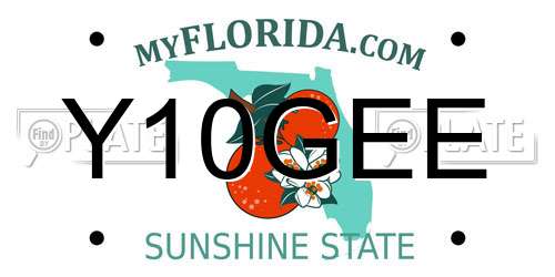 Y10GEE Florida License Plate