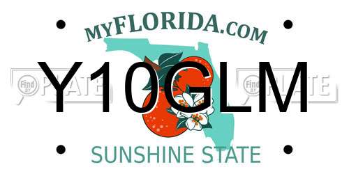 Y10GLM Florida License Plate