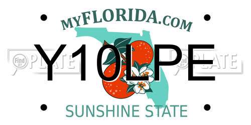 Y10LPE Florida License Plate