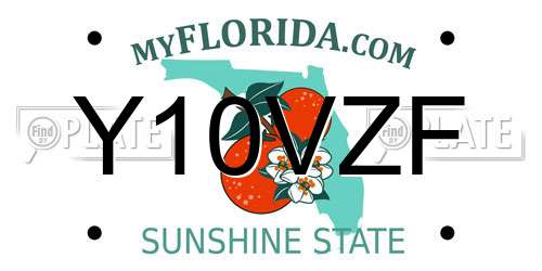 Y10VZF Florida License Plate