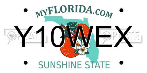 Y10WEX Florida License Plate