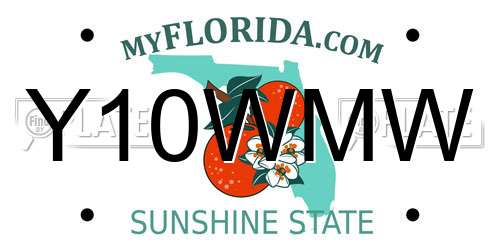 Y10WMW Florida License Plate