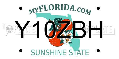 Y10ZBH Florida License Plate