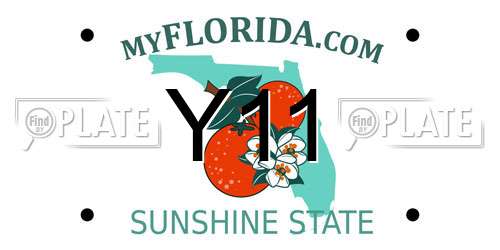 Y11 Florida License Plate
