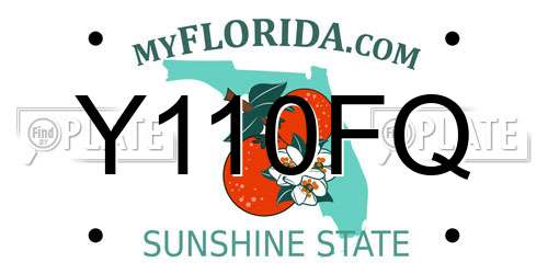 Y110FQ Florida License Plate