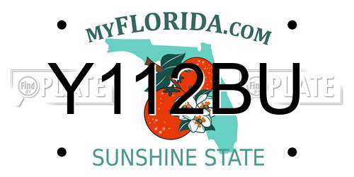 Y112BU Florida License Plate