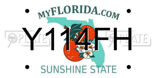 Y114FH Florida License Plate