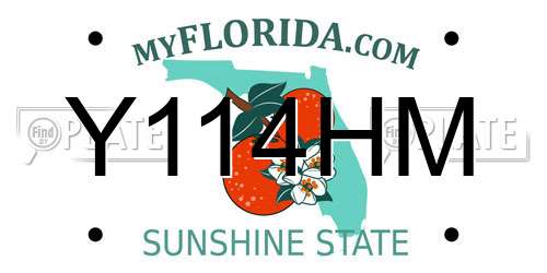 Y114HM Florida License Plate