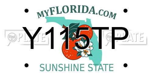 Y115TP Florida License Plate