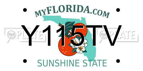 Y115TV Florida License Plate