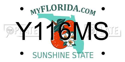 Y116MS Florida License Plate