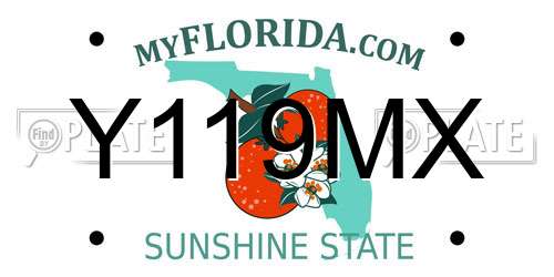 Y119MX Florida License Plate