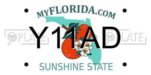 Y11AD Florida License Plate