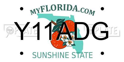 Y11ADG Florida License Plate