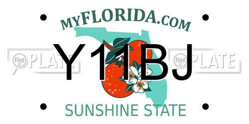 Y11BJ Florida License Plate