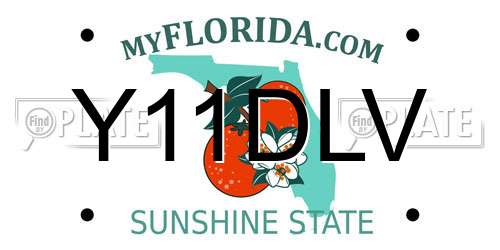 Y11DLV Florida License Plate