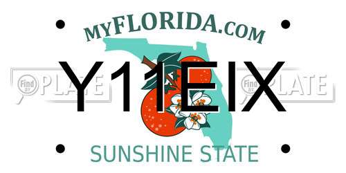 Y11EIX Florida License Plate