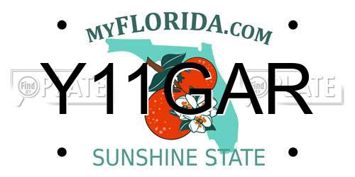 Y11GAR Florida License Plate