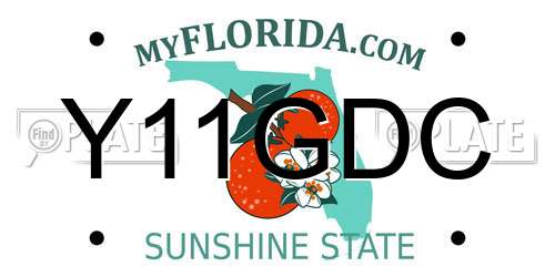 Y11GDC Florida License Plate