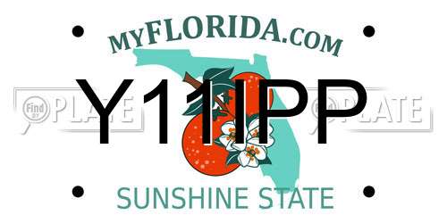 Y11IPP Florida License Plate