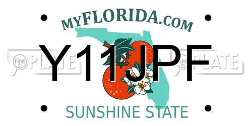 Y11JPF Florida License Plate