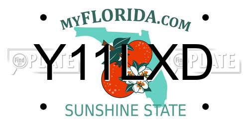 Y11LXD Florida License Plate