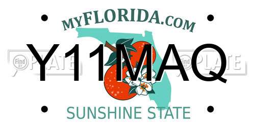 Y11MAQ Florida License Plate