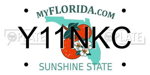 Y11NKC Florida License Plate
